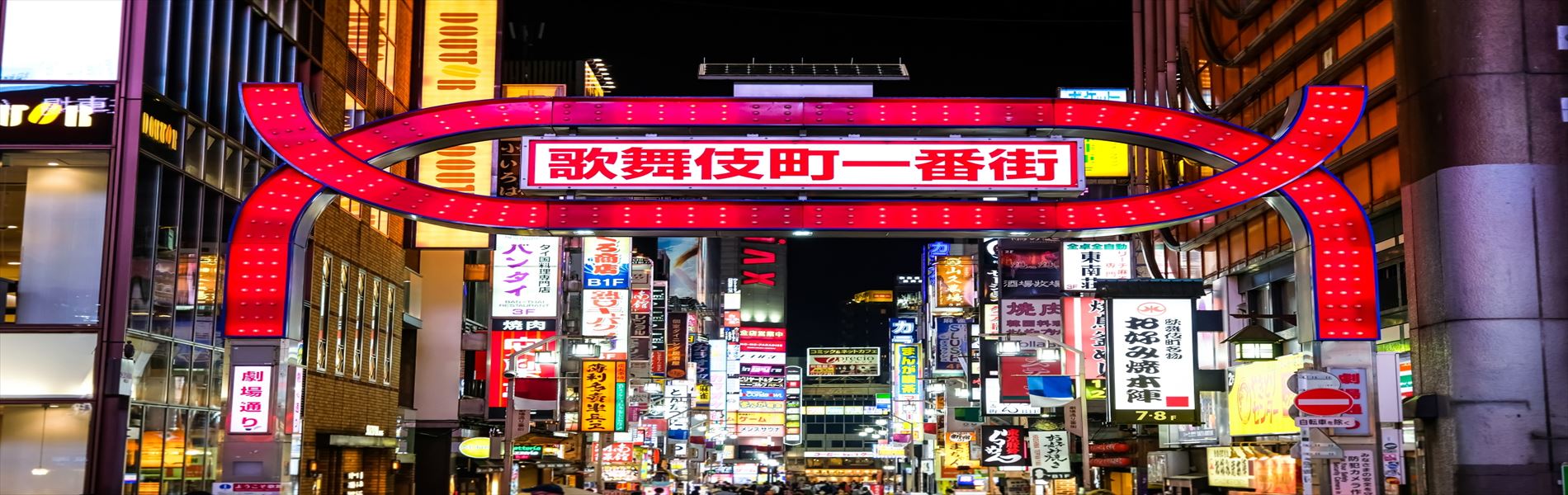 shinjukunight