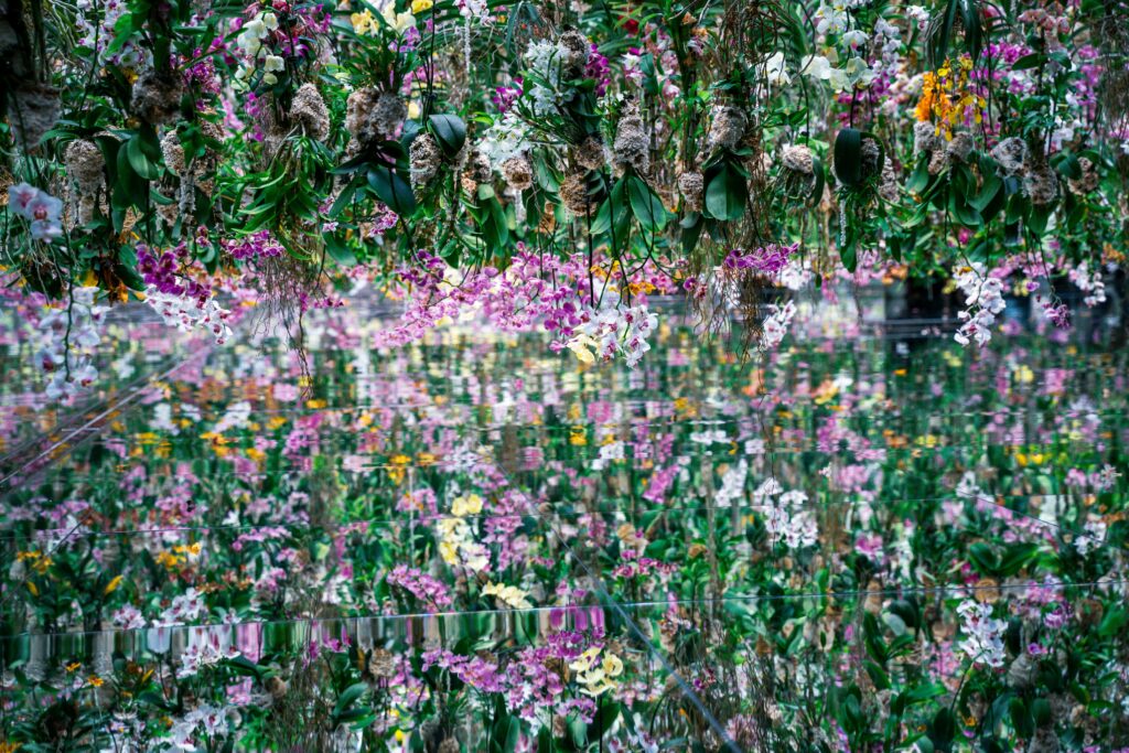 teamLab Planets